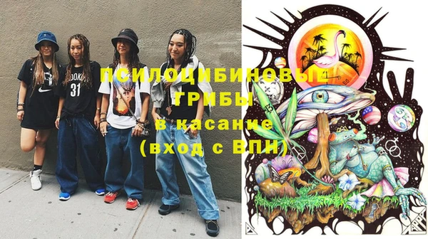 каннабис Верея