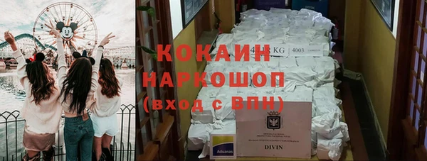 гидра Канск