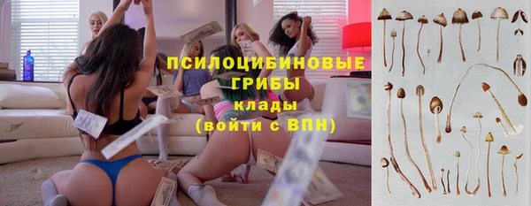 каннабис Верея